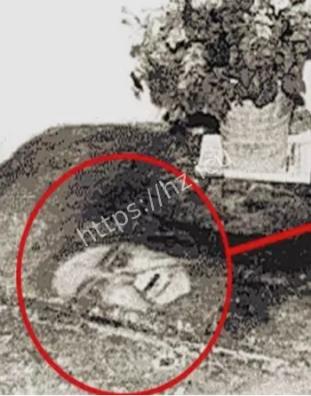 西班牙贝尔梅斯